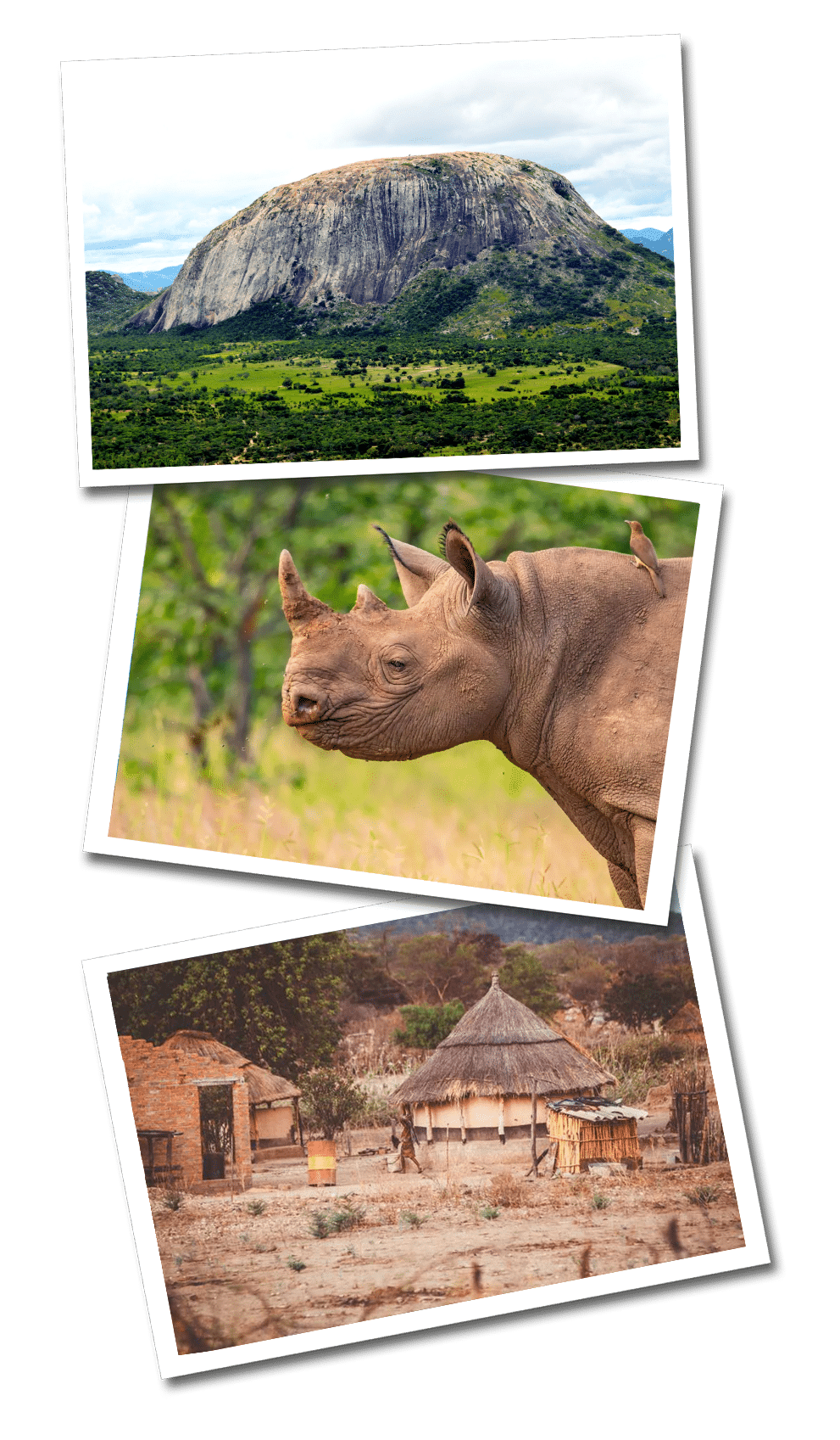 zimbabwe postcard