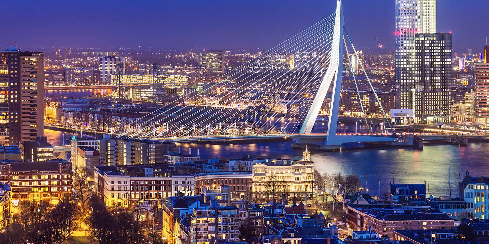 16 best things to do in Rotterdam