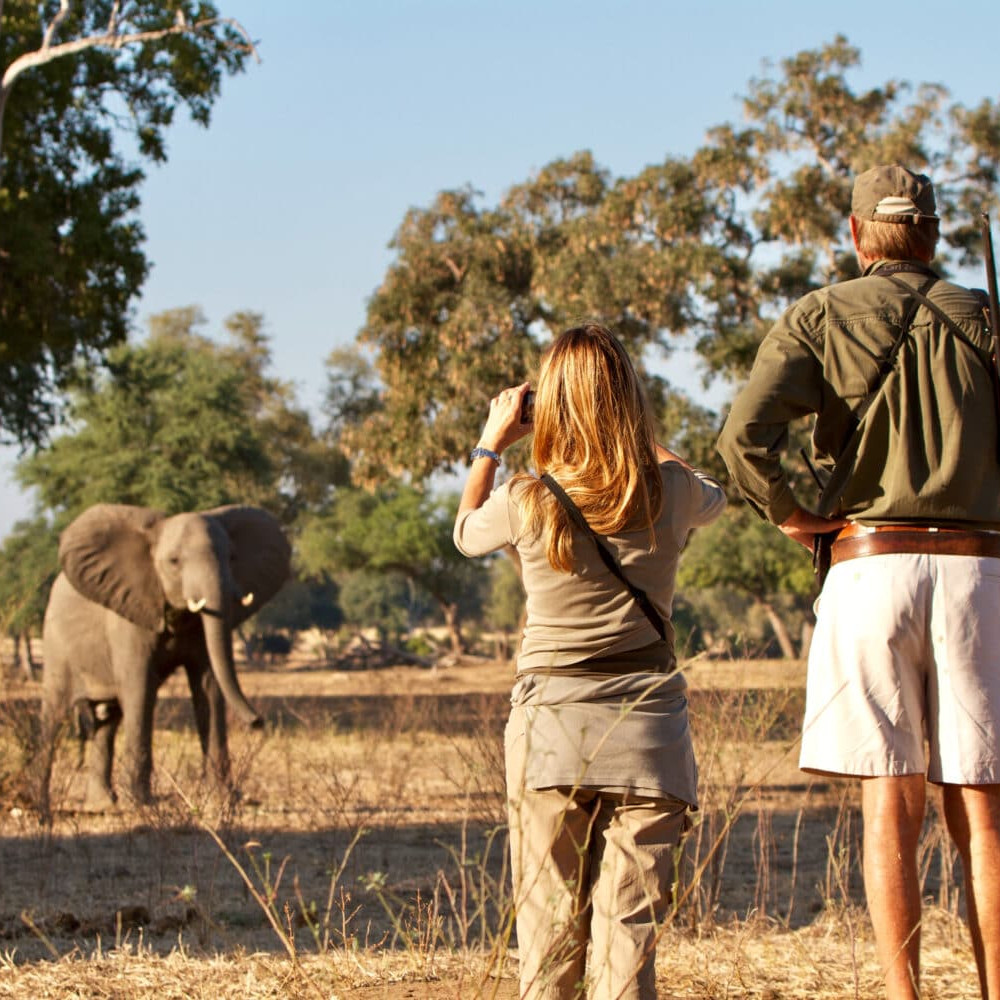 Walking safari Zambia