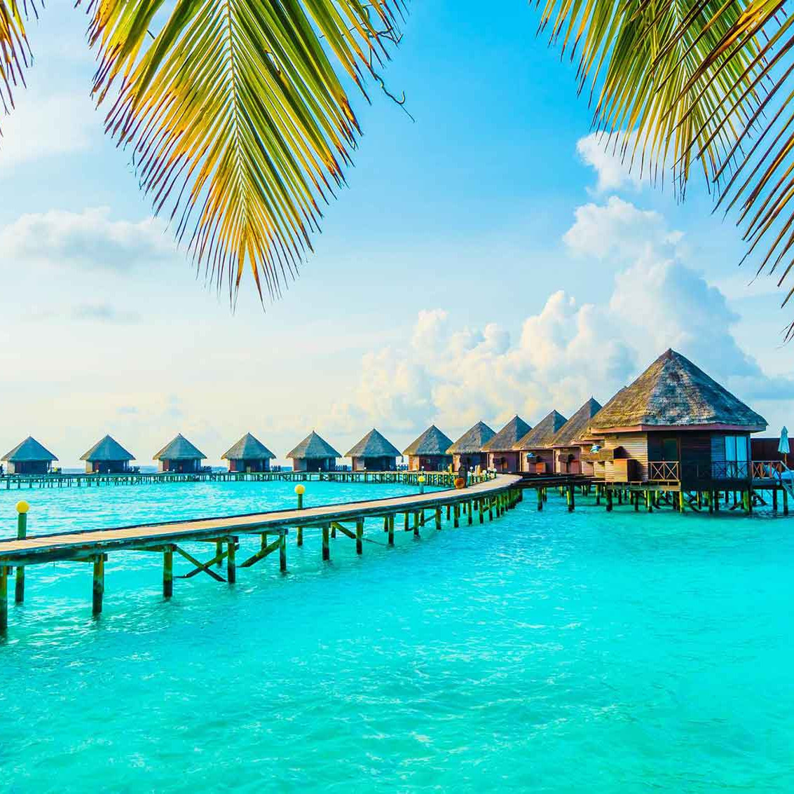 The maldives travel