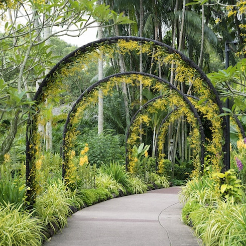 botanical garden singapore