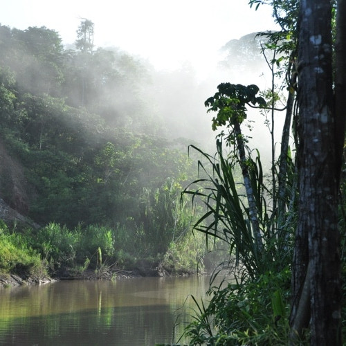 Peruvian Amazonia