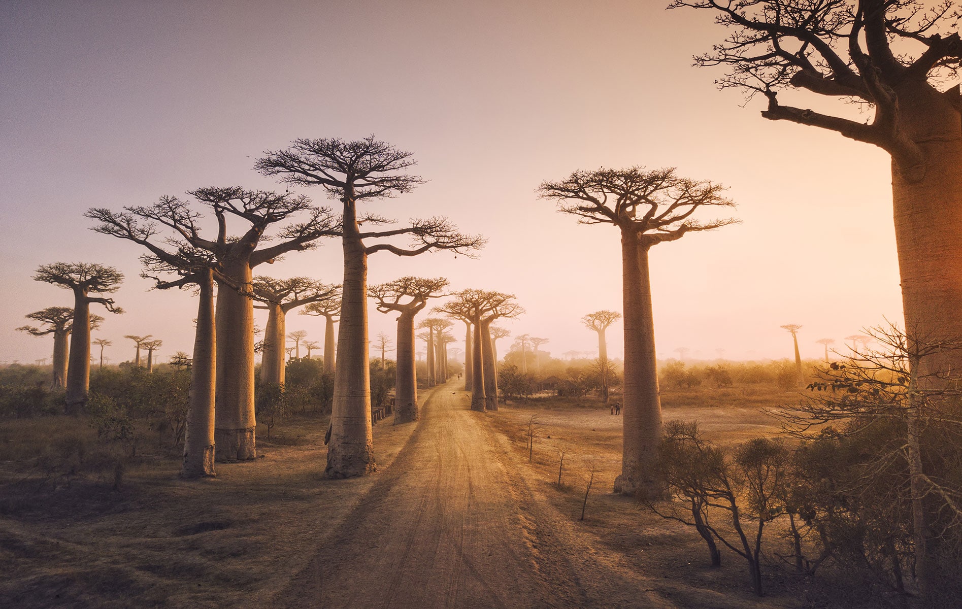 travel to madagascar from south africa