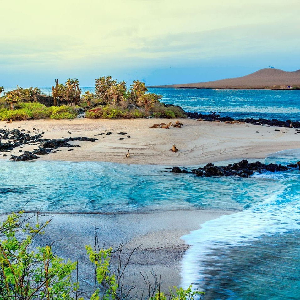 Galapagos Island South America Travel Guide