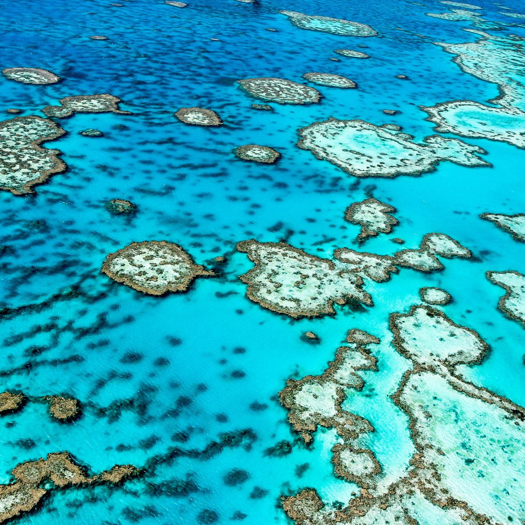 Great barrier reef australia