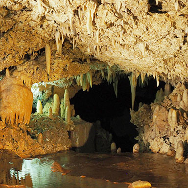 Harrison Cave Barbados Caribbean Travel Guide