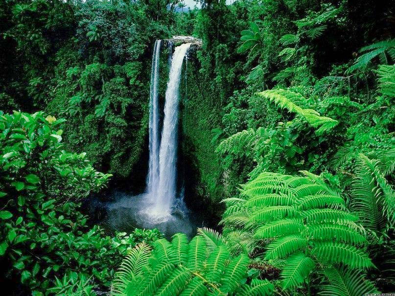 Samoa waterfall oceania travel guide