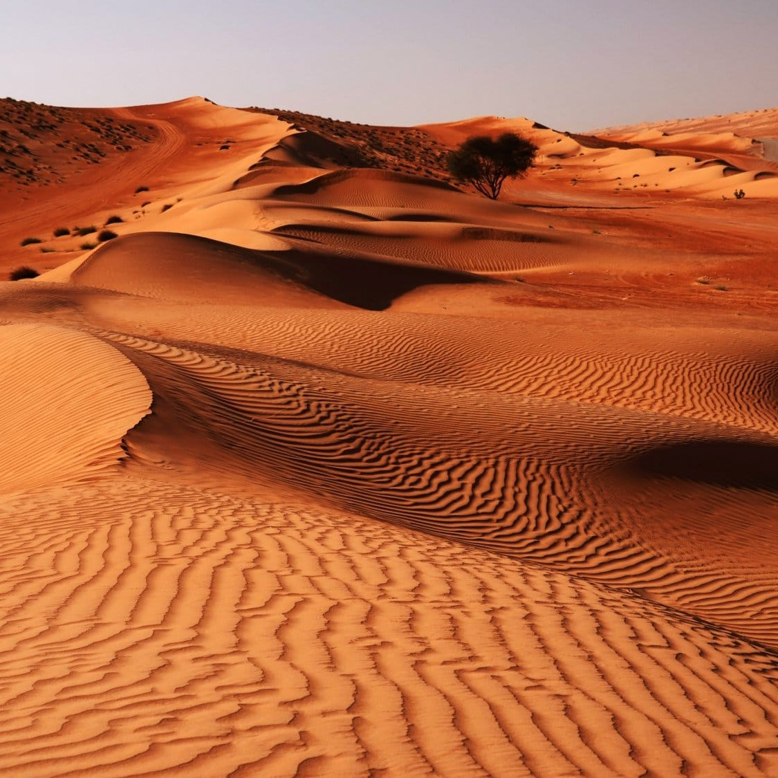 Wahiba Sands Desert oman