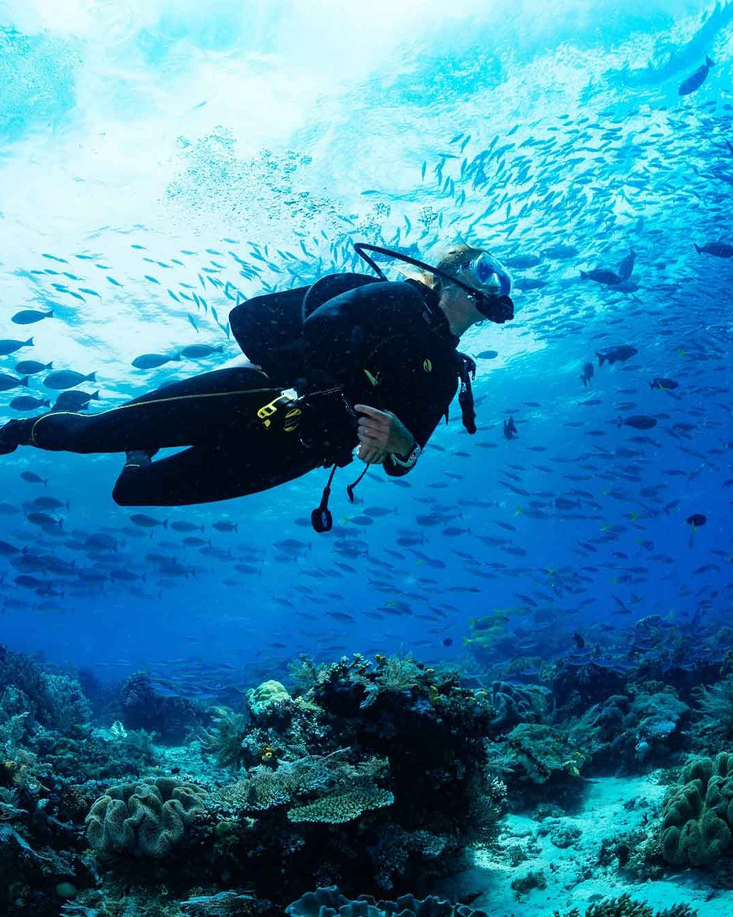 Snorkel Andros Great Barrier Reef