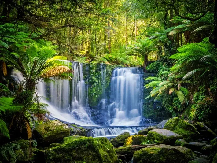 Tasmania Australia
