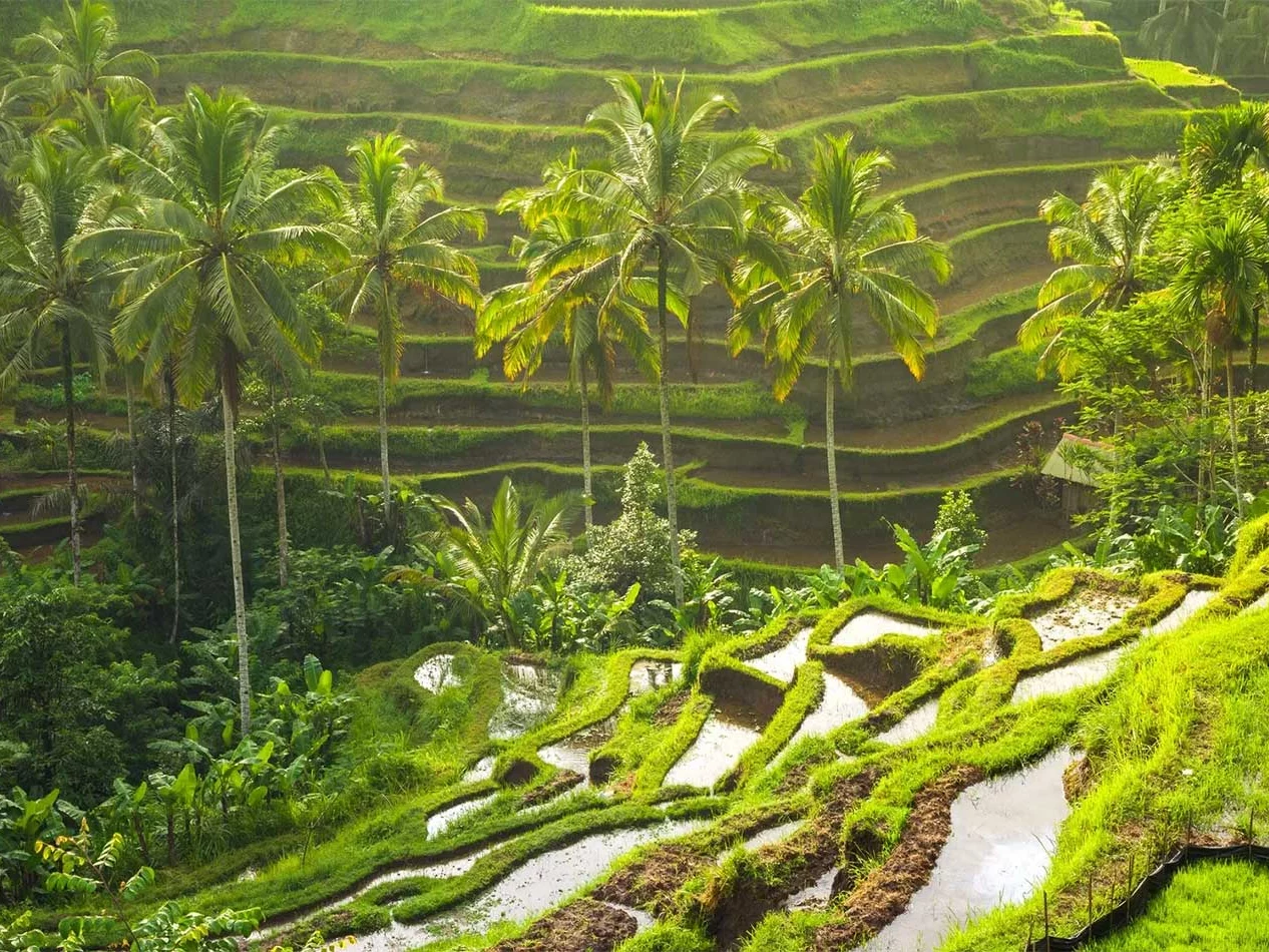 Ubud, Bali