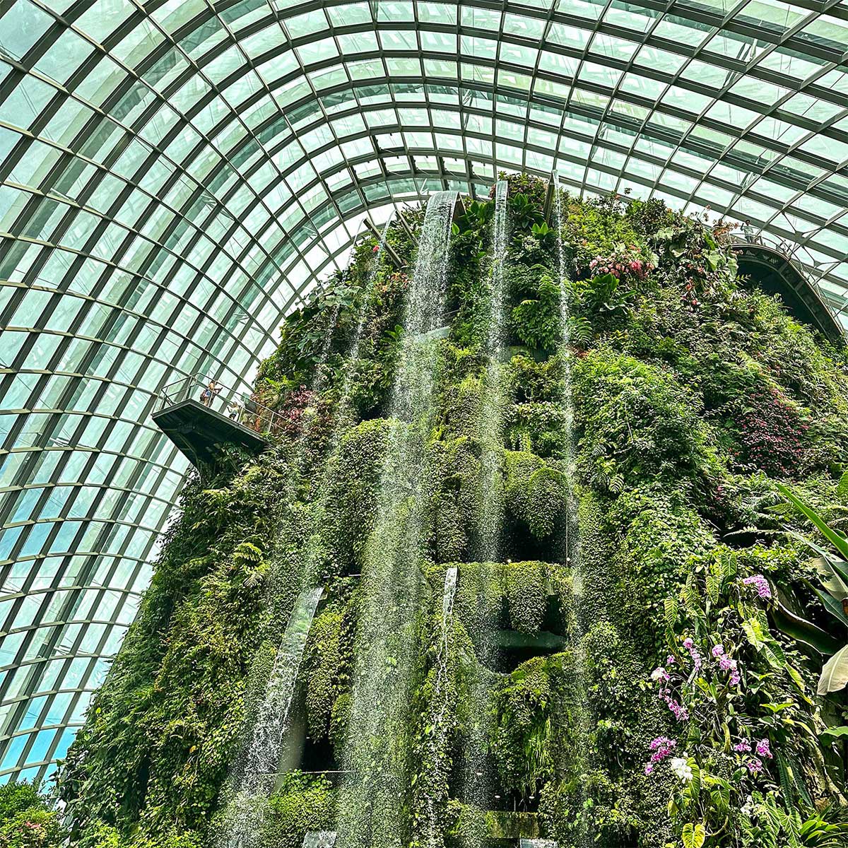 Cloud Forest Singapore She is wanderlust