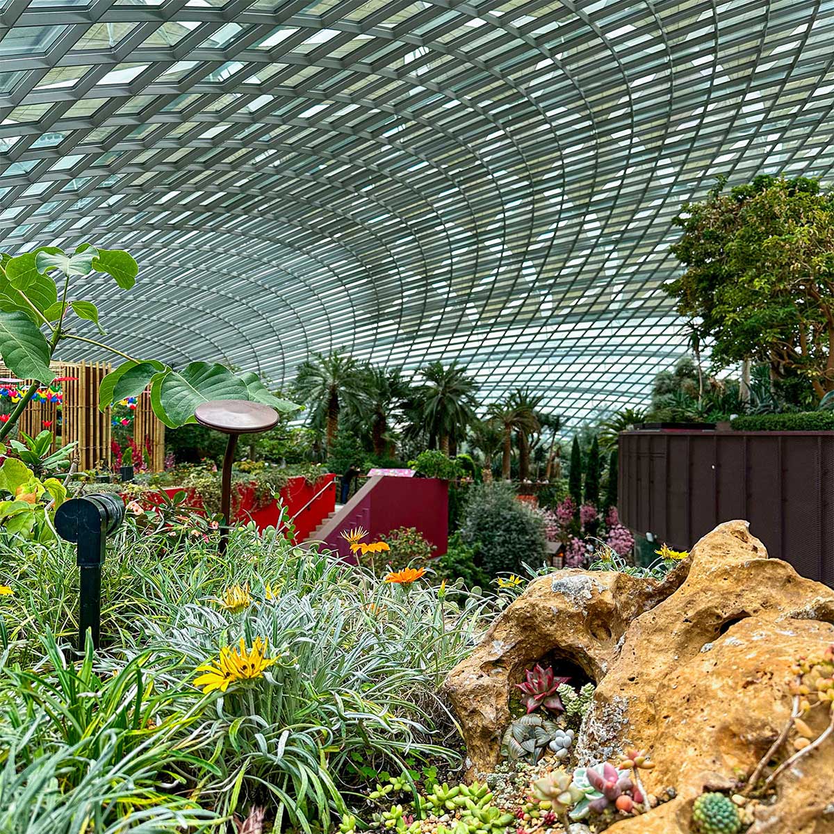Flower Dome she is wanderlust singapore