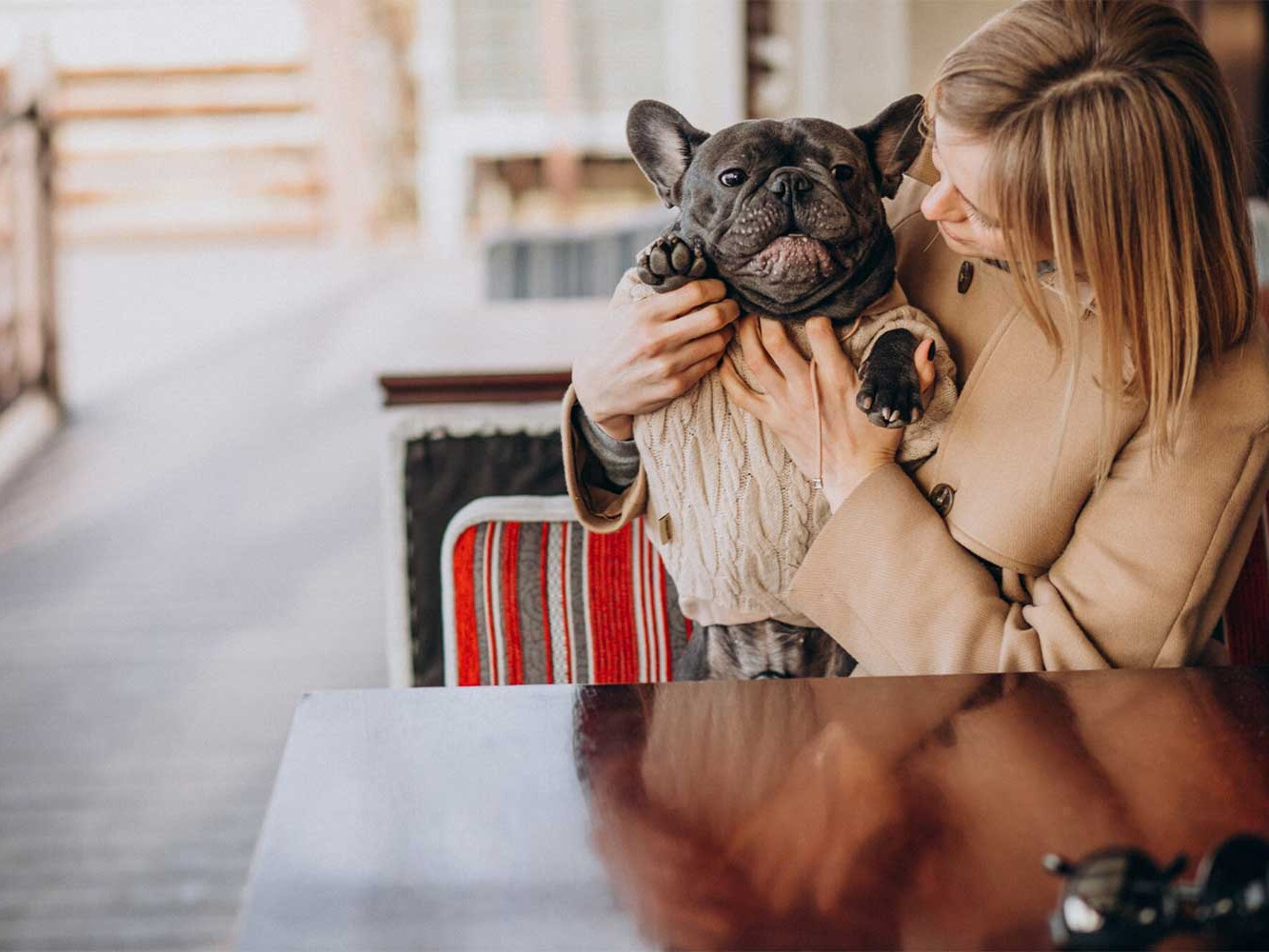 Map Out Pet-Friendly Stops Along the Way