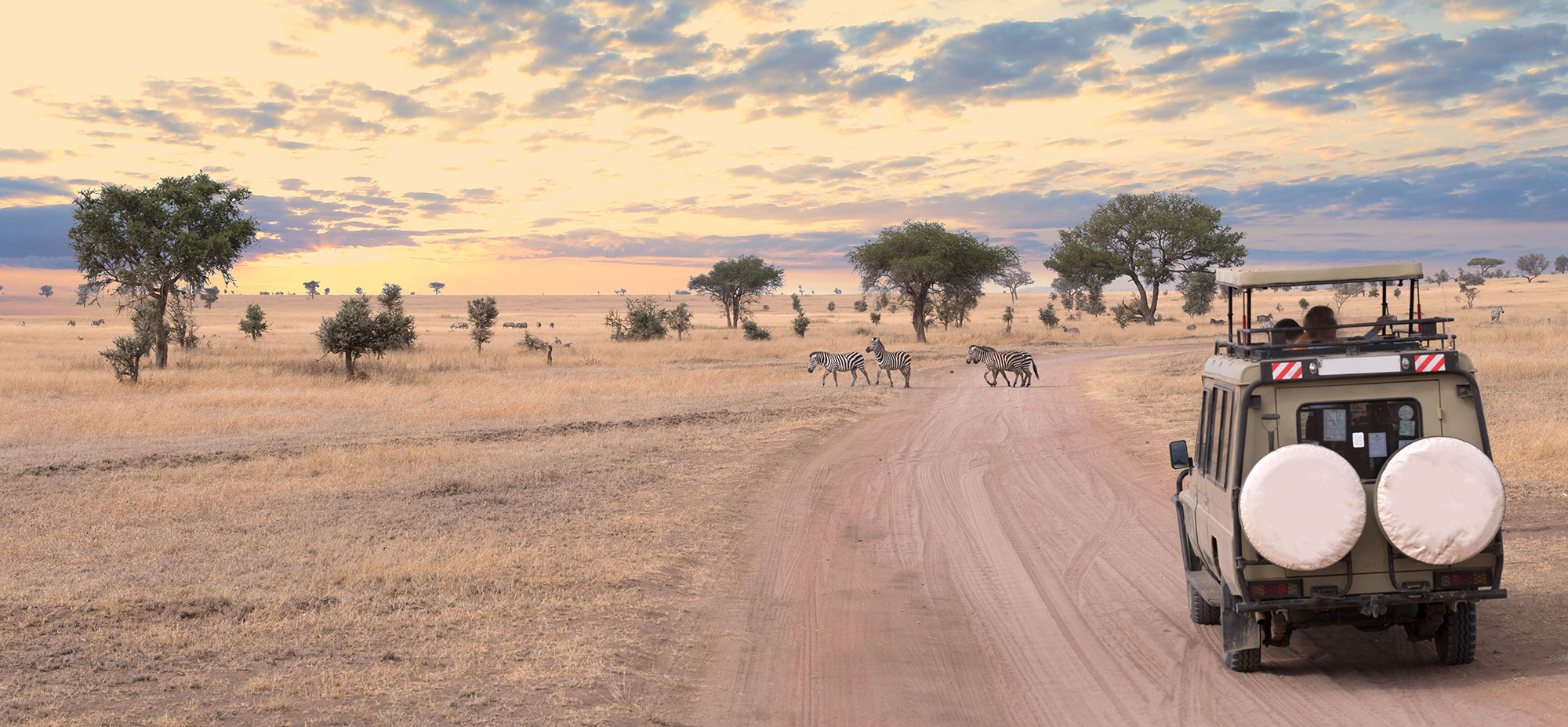 From Safaris to Salt Pans: 18 Best Things to Do in Botswana