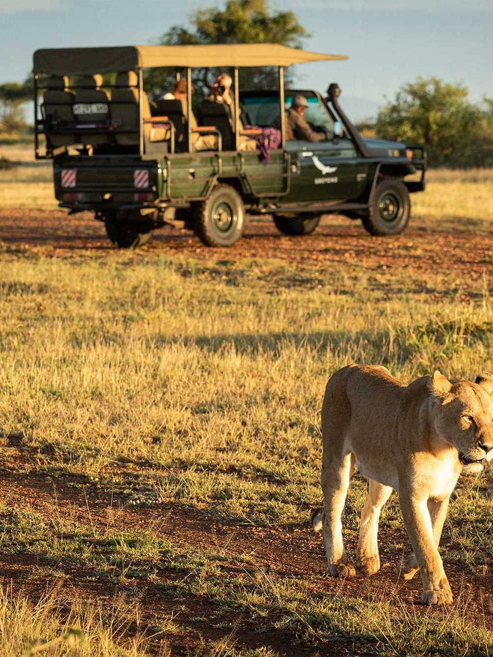 13 Tips You Need to Know Before Traveling to Botswana