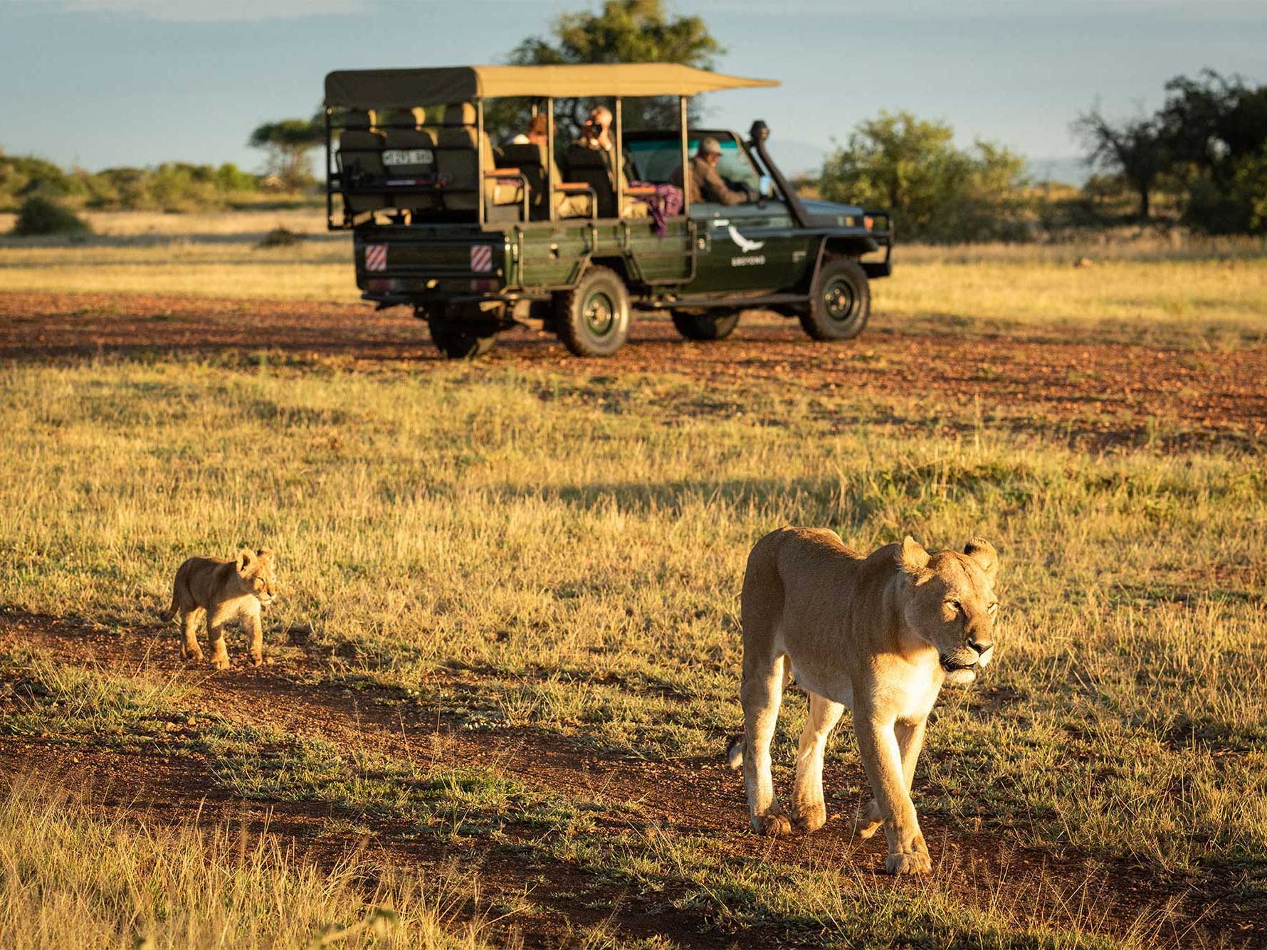 13 Tips You Need to Know Before Traveling to Botswana