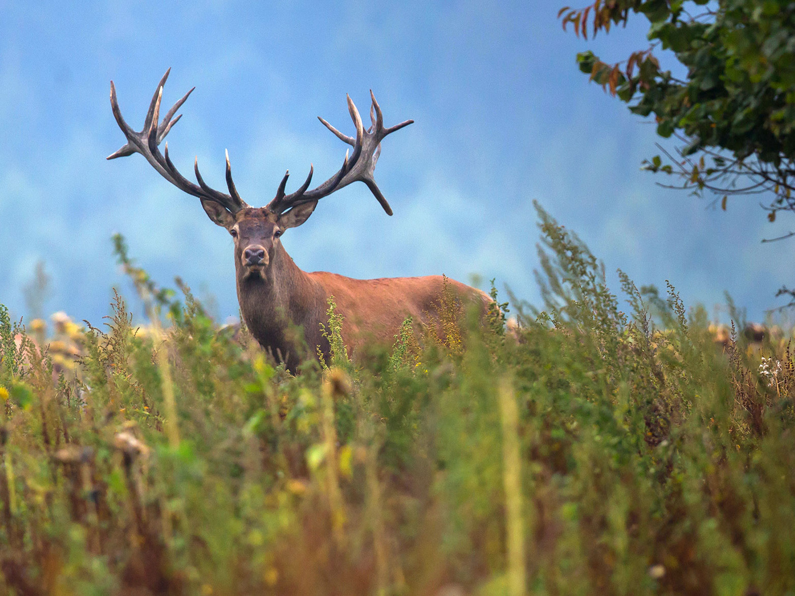 Prepping for Hunting Season: Your Gear Checklist