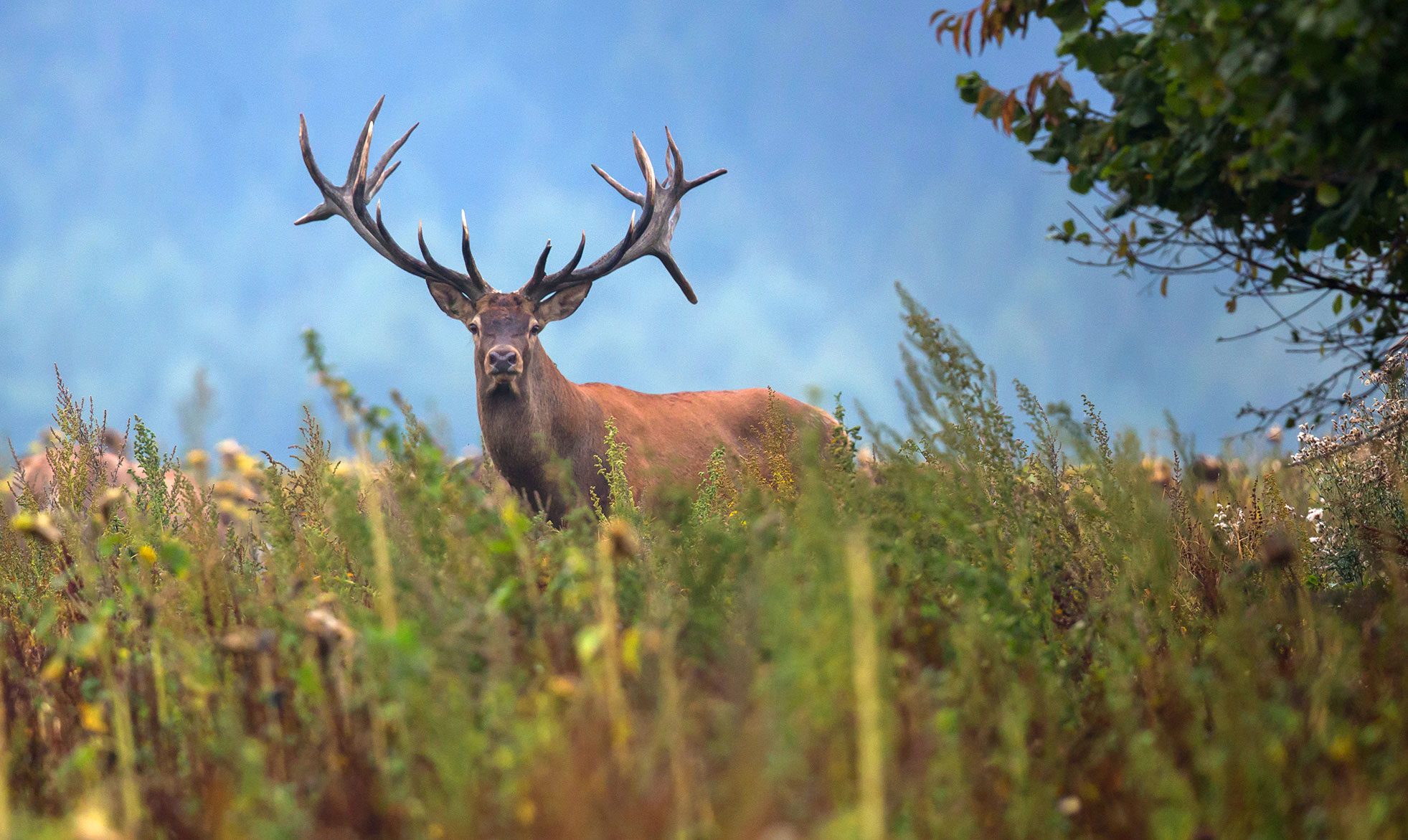 Prepping for Hunting Season: Your Gear Checklist