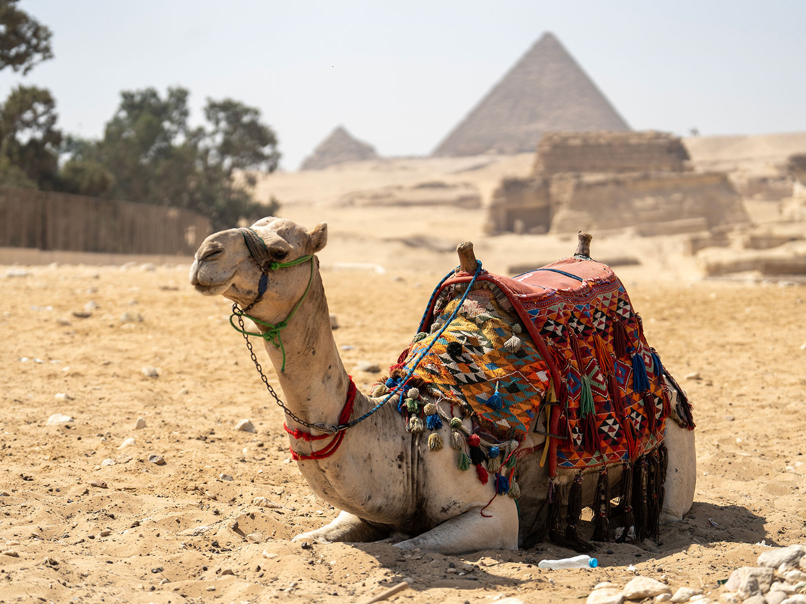10 Must-Do Experiences in Cairo: Egypt’s Vibrant Capital