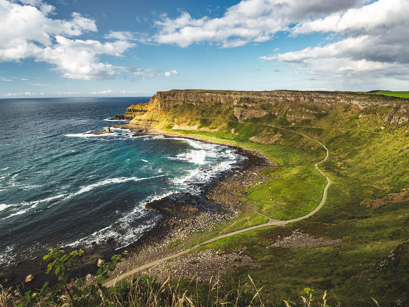 A Guide to Wildlife Watching on Ireland's Secluded Beaches
