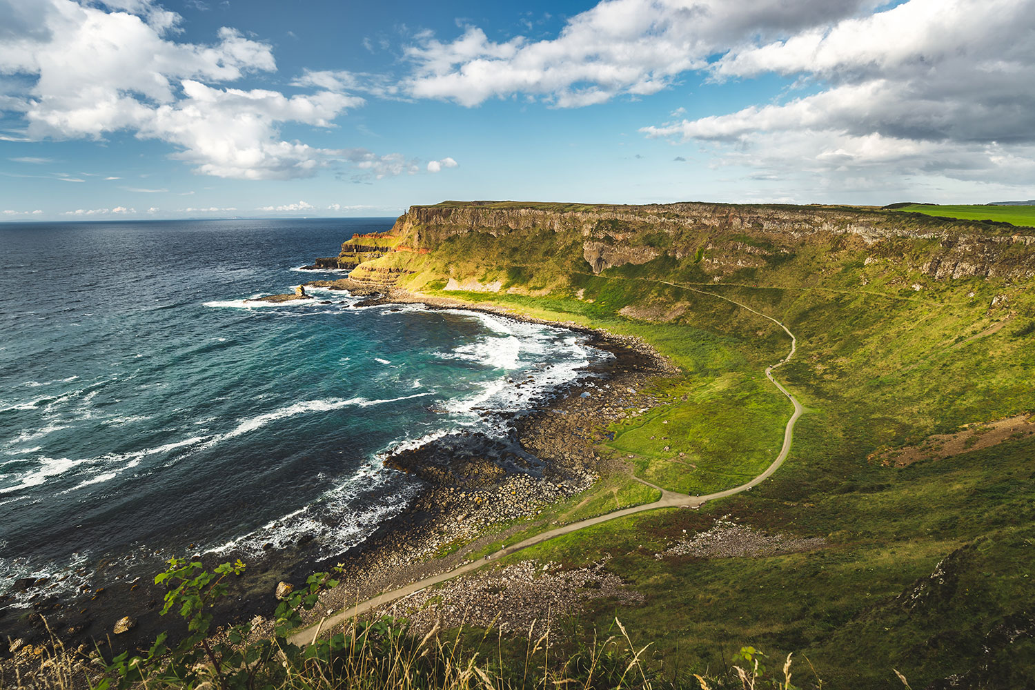 A Guide to Wildlife Watching on Ireland's Secluded Beaches