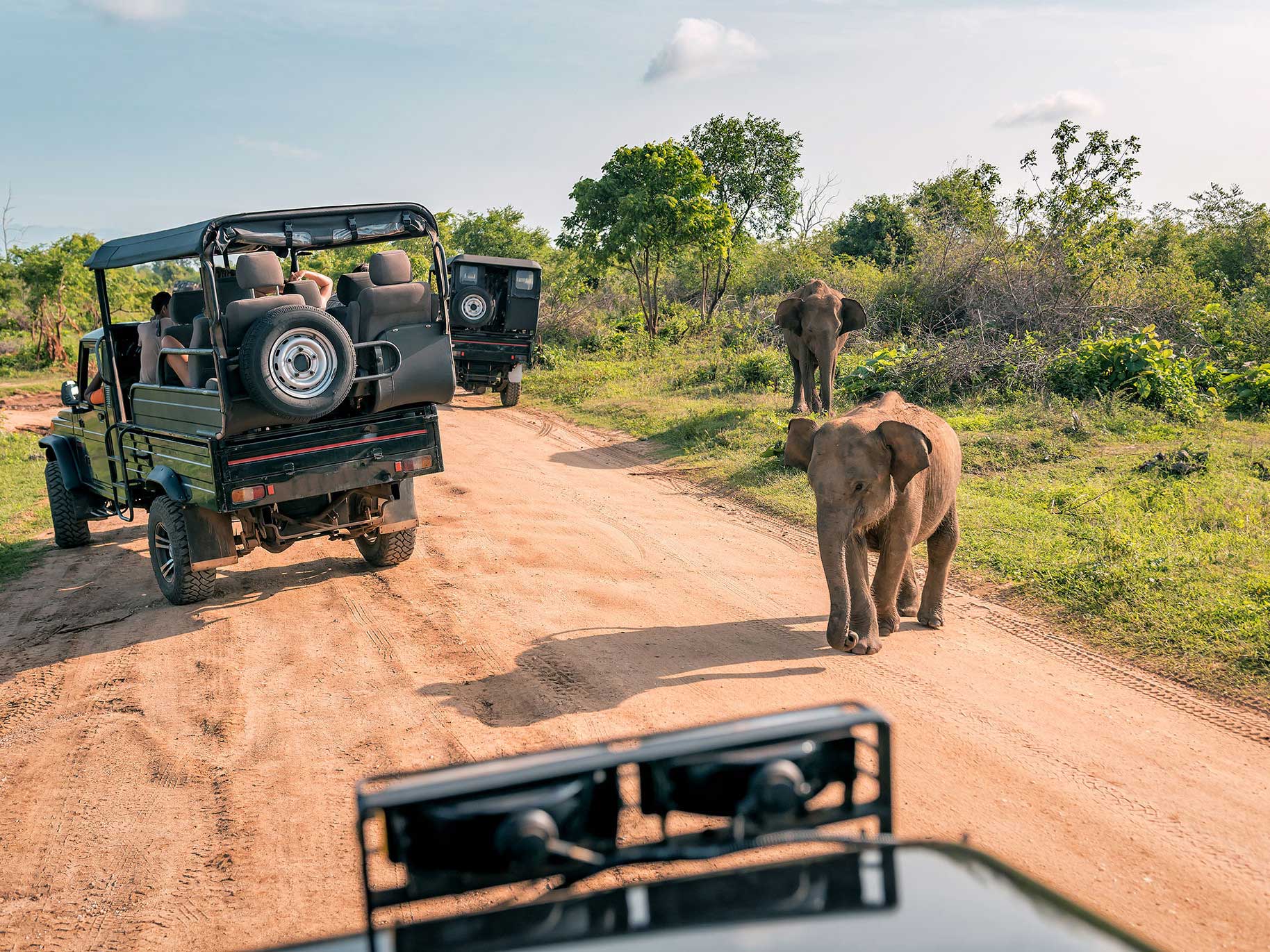 Planning a Girls’ Trip_ Try an African Safari Adventure-1