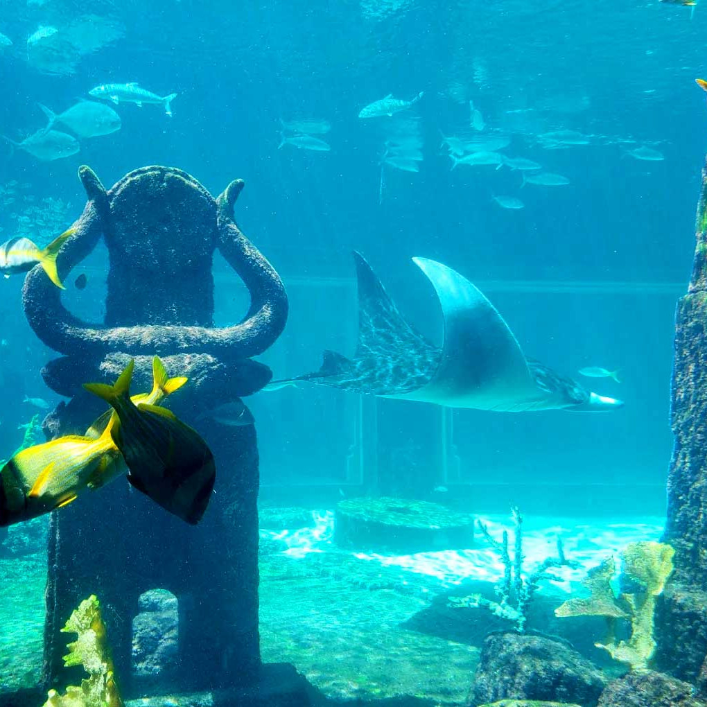 atlantis aquapark bahamas