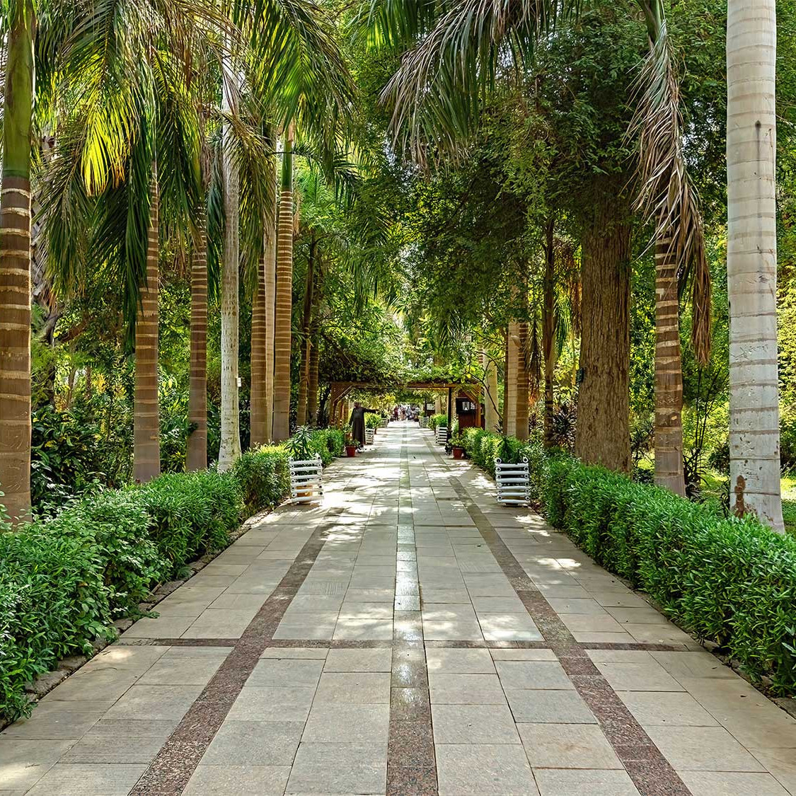 Aswan Botanical Garden