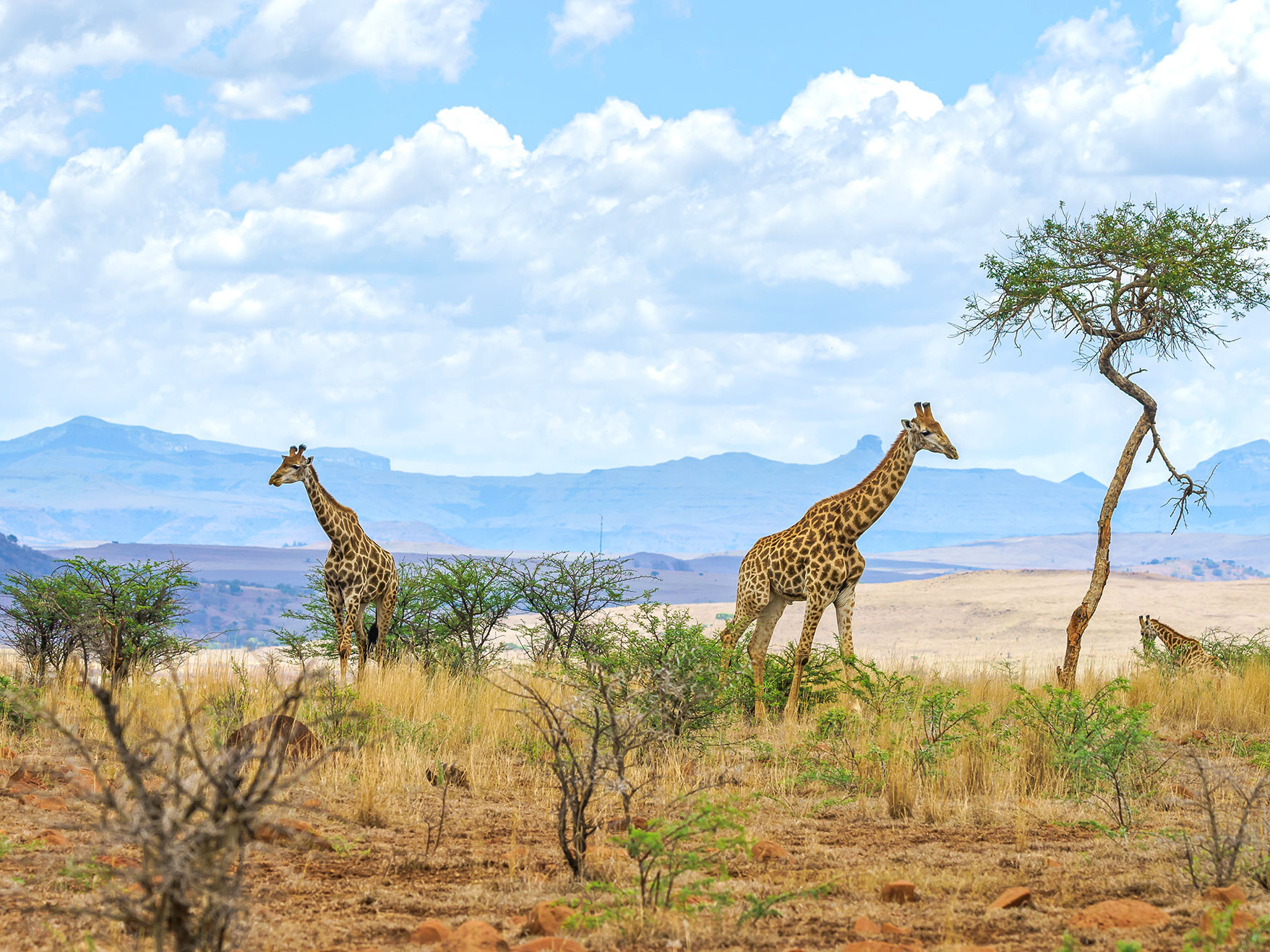 Best Things to Do in Gaborone, Botswana