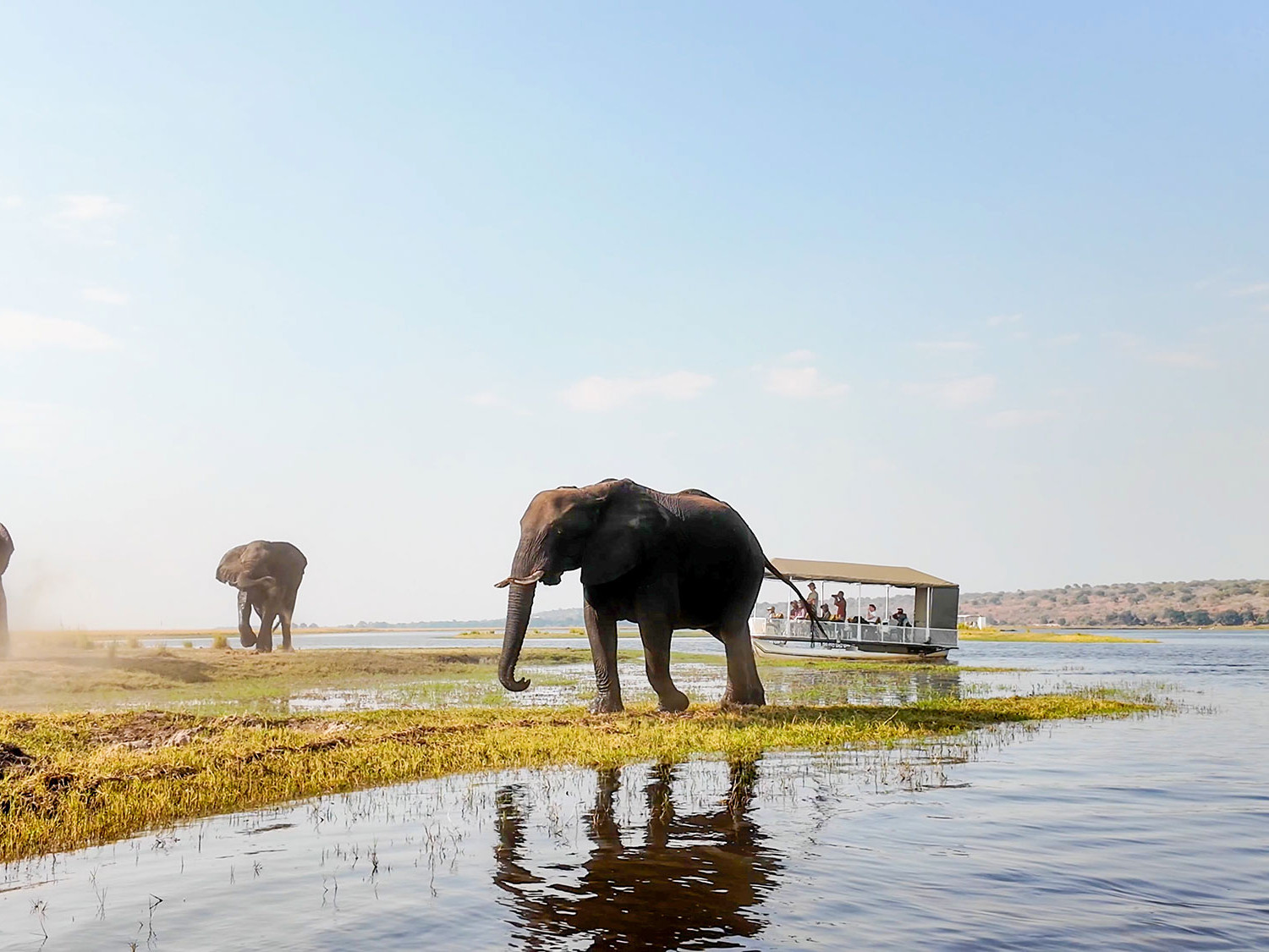 Best Things to Do in Kasane, Botswana