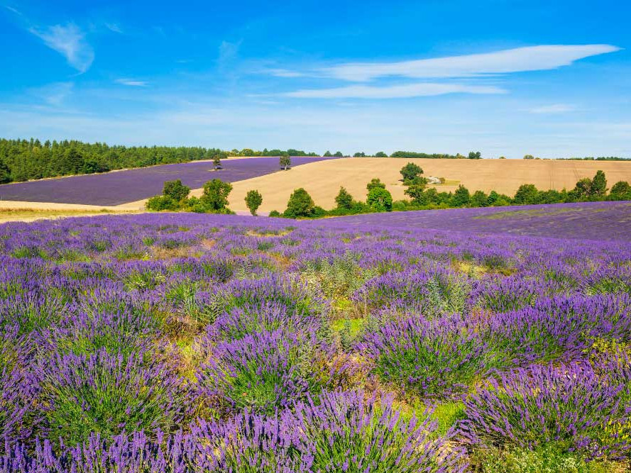 Provence France