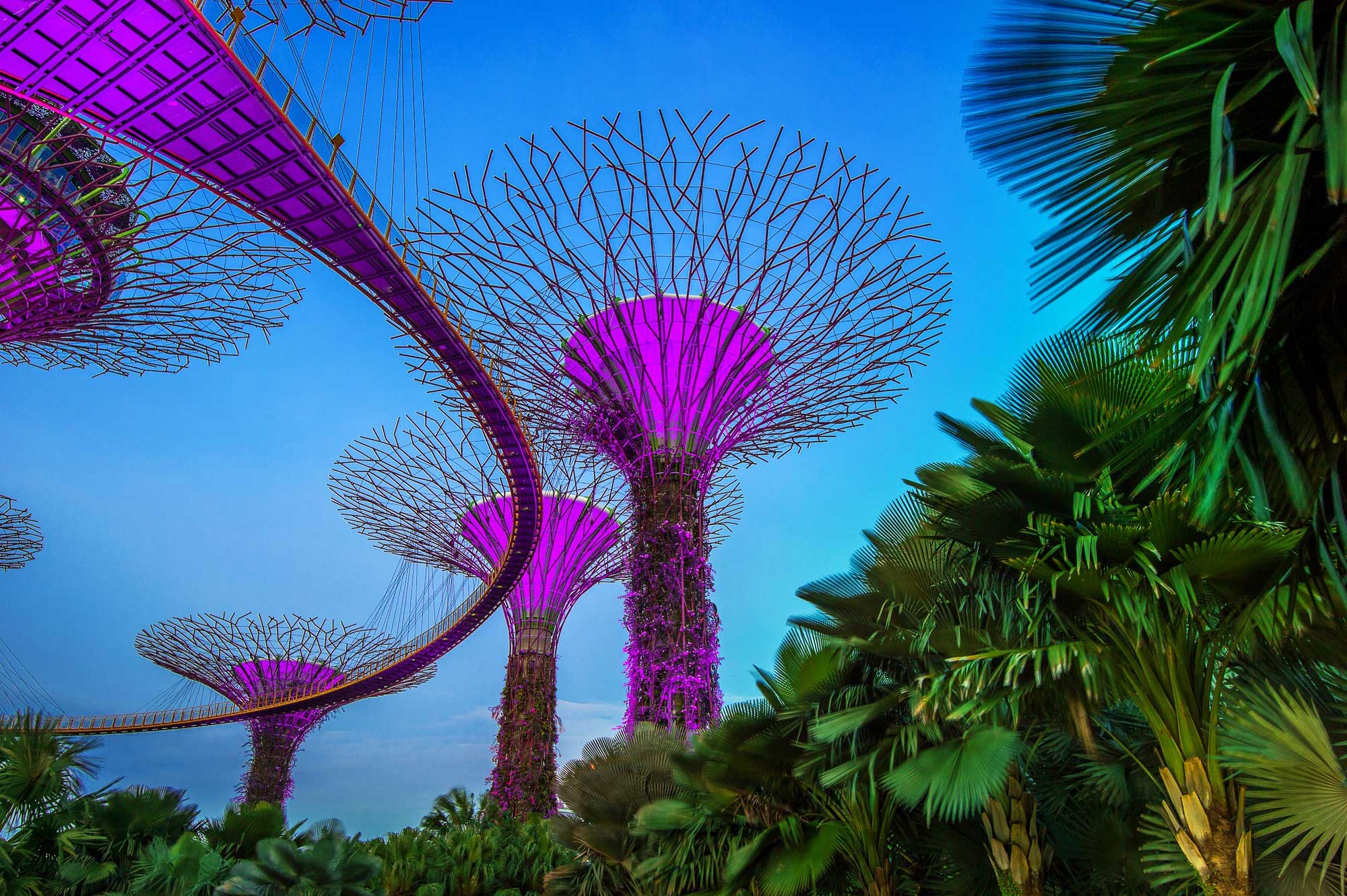 11 Surprising Things You Probably Didn’t Know About Singapore