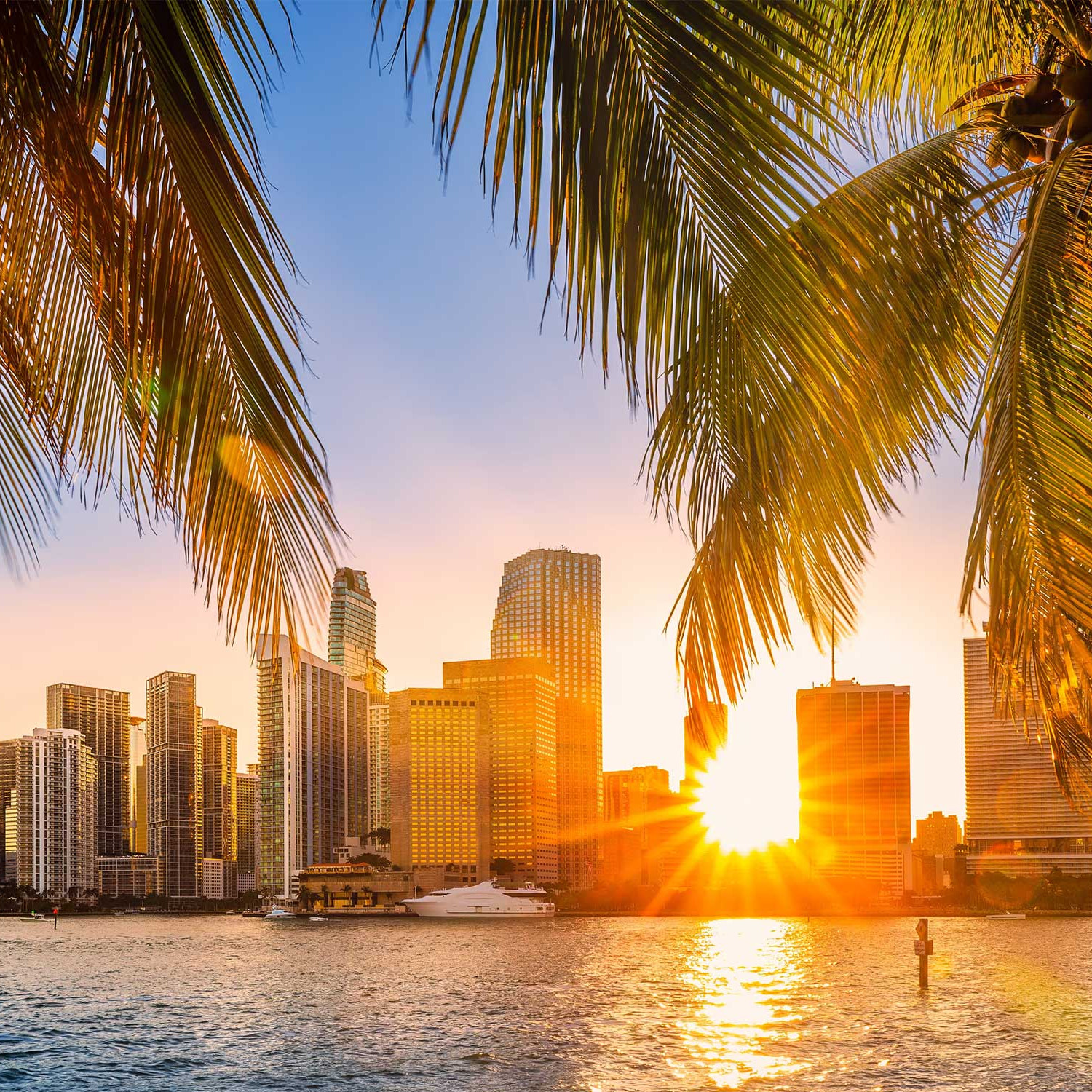 12 Things You Probably Didn’t Know About Miami
