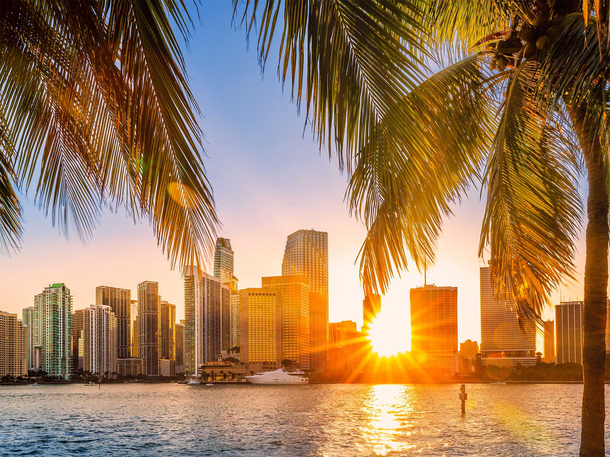 12 Things You Probably Didn’t Know About Miami