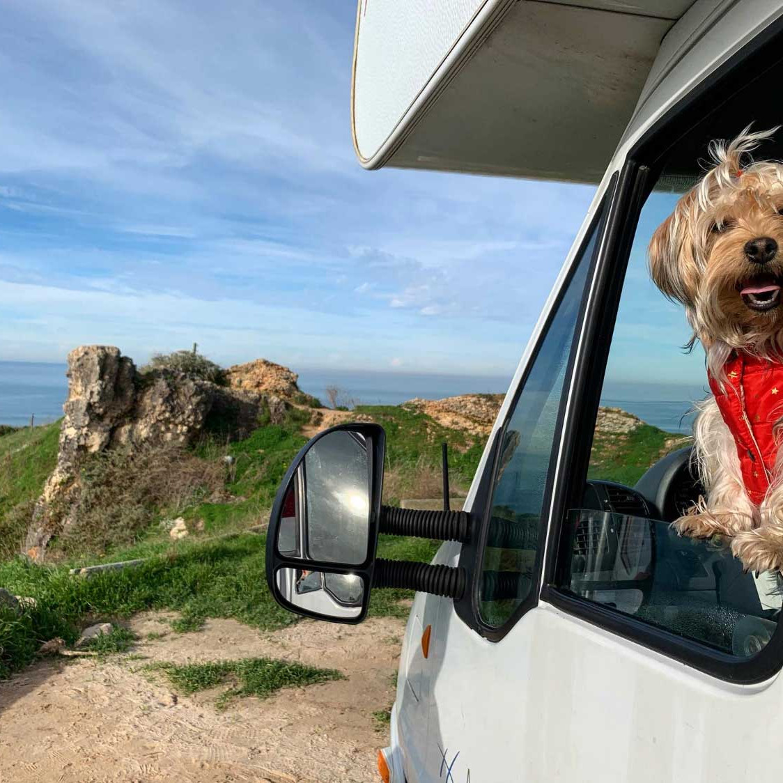 Acclimating your pet to camper van