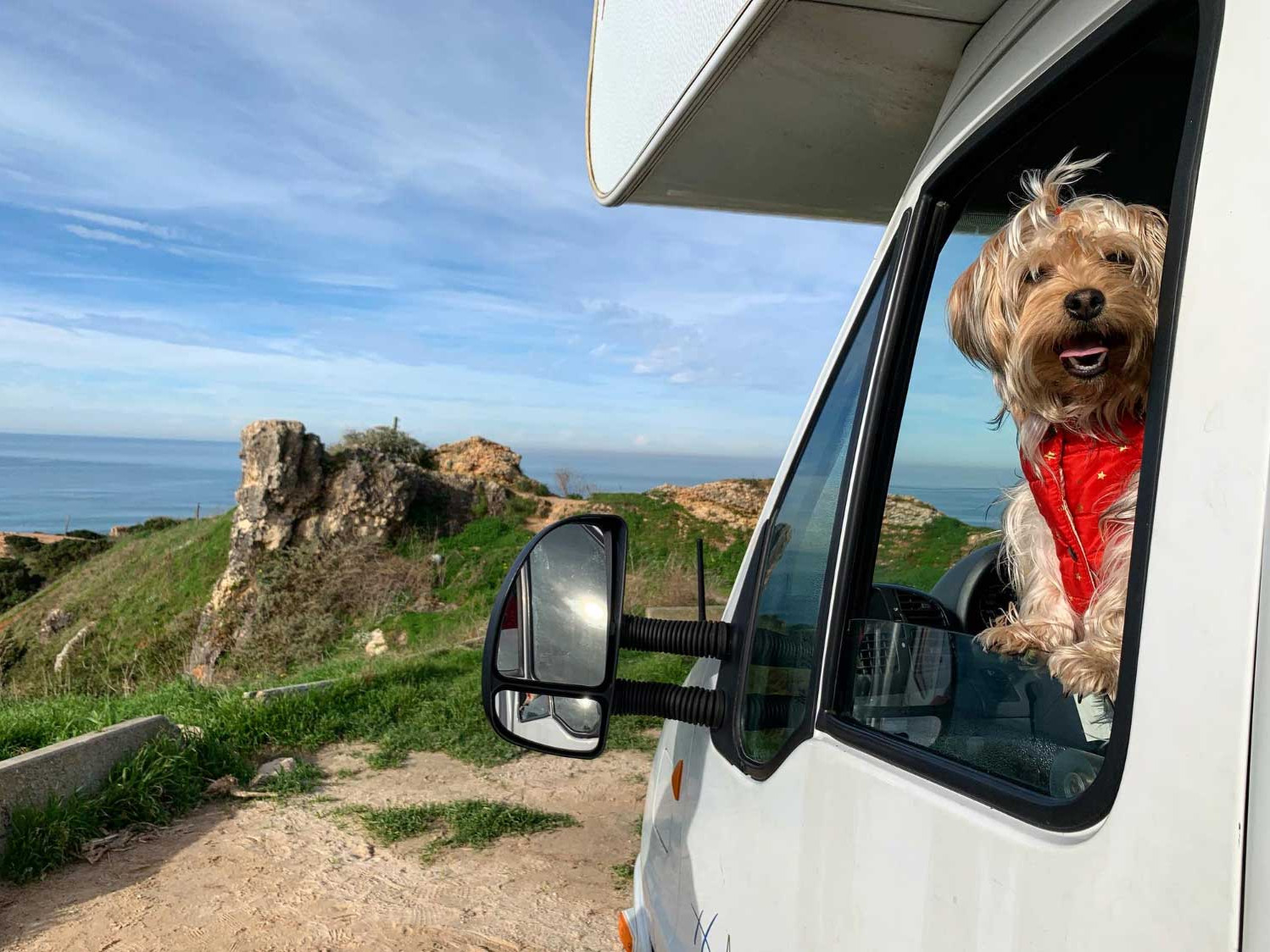 Acclimating your pet to camper van