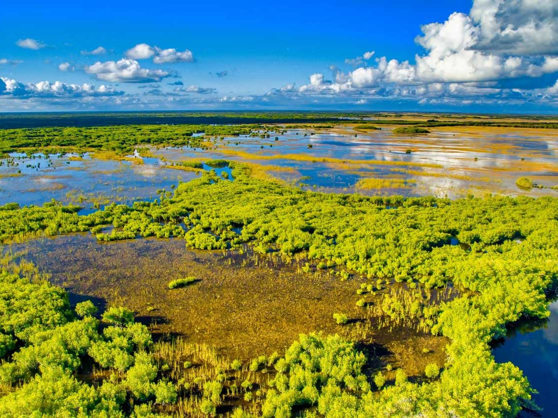 Everglades National Park