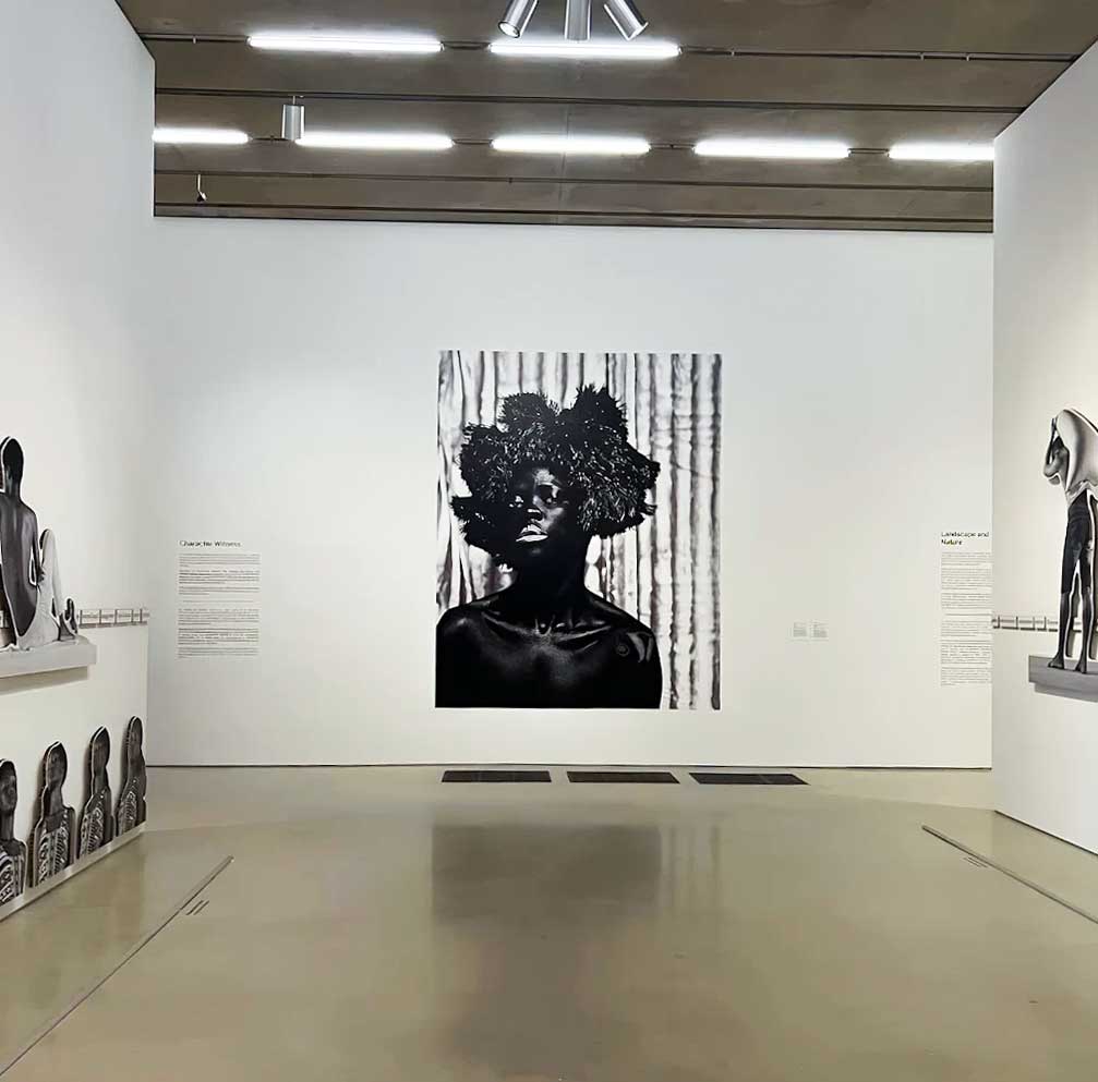 Pérez Art Museum Miami (PAMM)