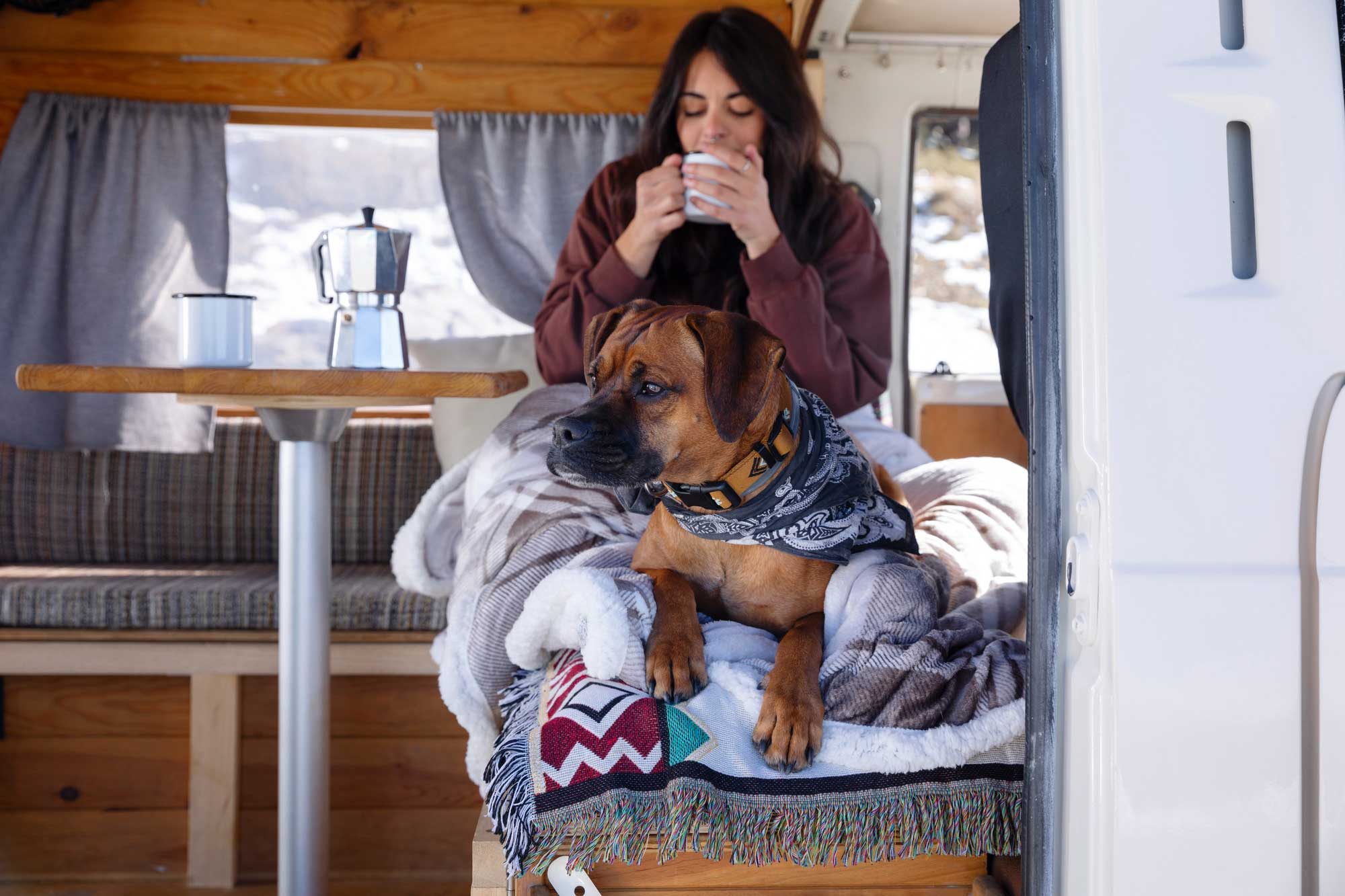 RV traveling offers freedom and adventure yet brings unique challenges when you have a furry companion along. Small spaces, changing environments and long drives can stress animals. Thoughtful planning, consistent routines and pet-centered gear help your pet feel secure and happy on every mile of your journey. With intentional preparations and habits you can transform your camper into a true home away from home for you and your best friend.
