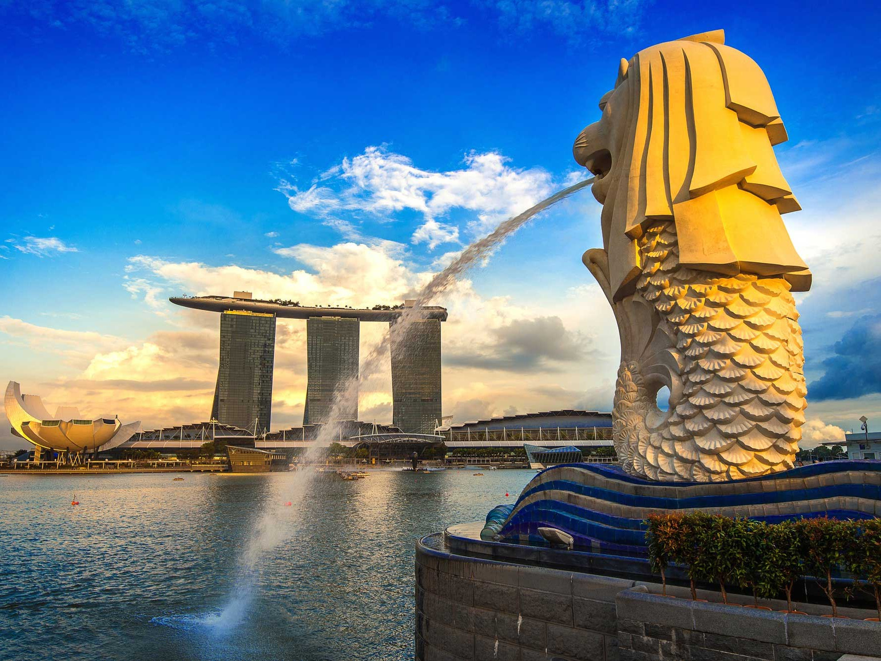 Tipping in Singapore: What You Should (and Shouldn’t) Know