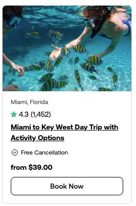 Miami Tour Viator
