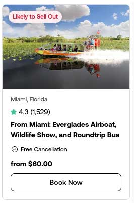 Miami Tour Viator