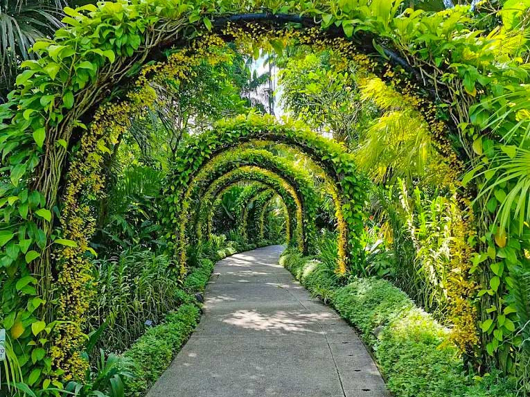 Singapore Botanic Gardens