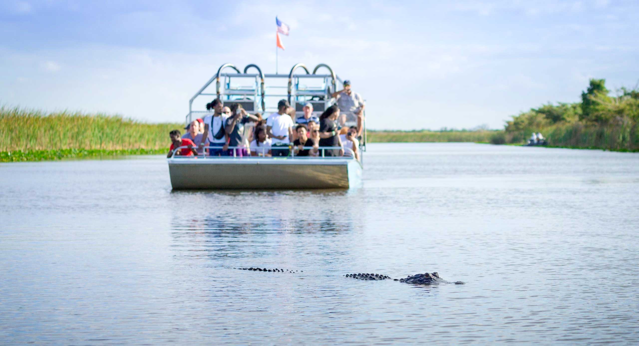 Best Outdoor Things to Do in Miami
