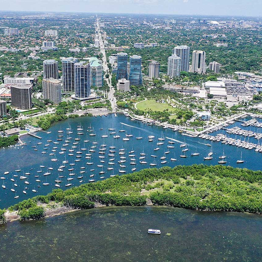 Coconut Grove