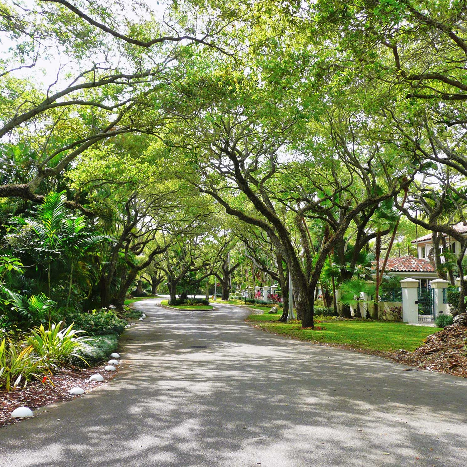 Coral Gables Miami