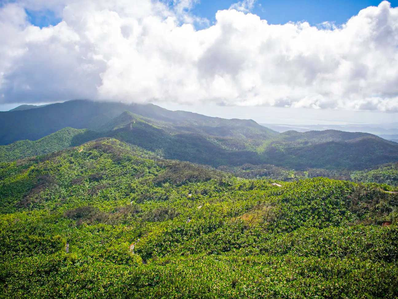 El Yunque National Forest