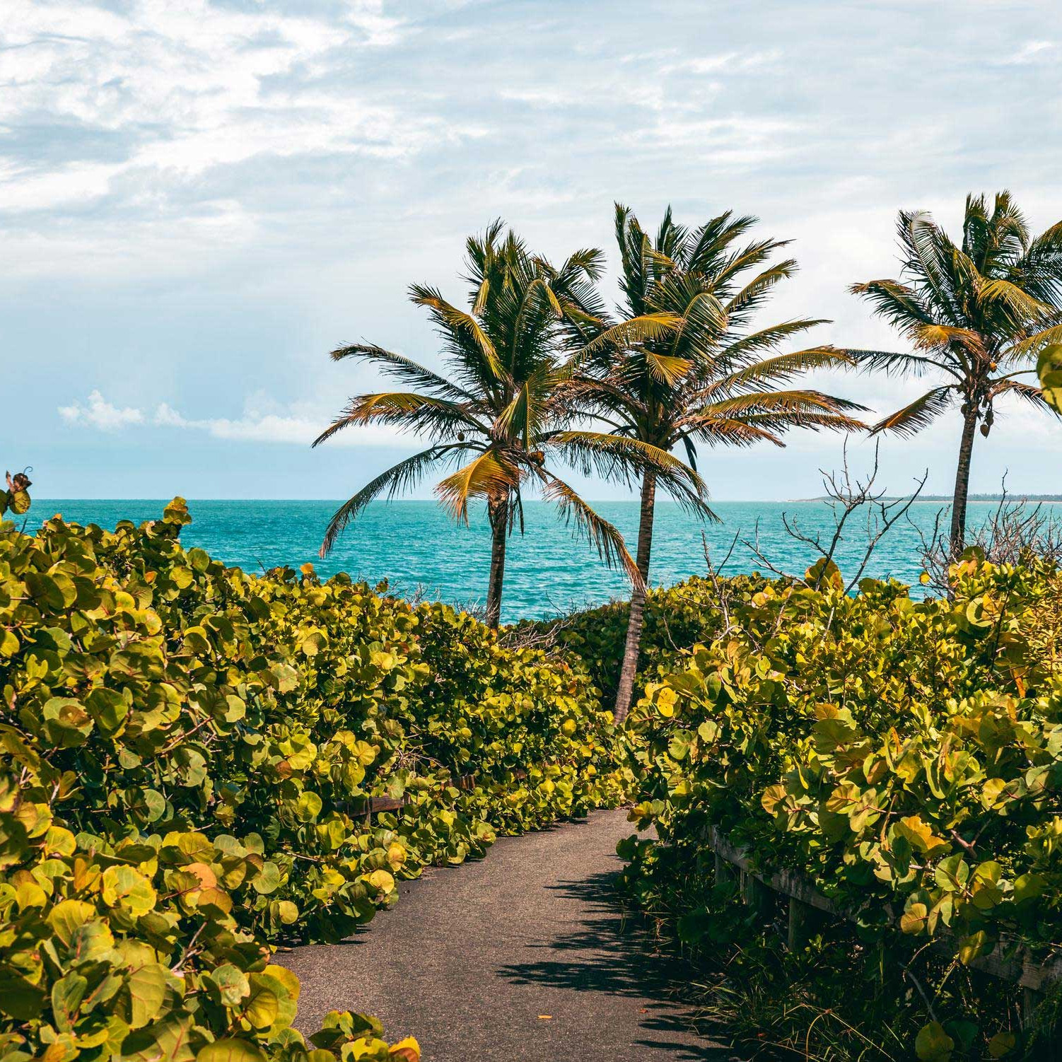 Piñones Puerto Rico
