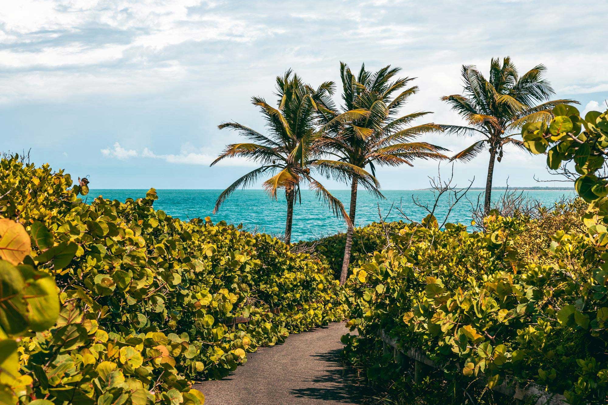 Piñones Puerto Rico
